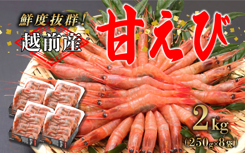 【小分け】越前産 冷凍 甘えび 約250g × 8パック 合計約2.0kg