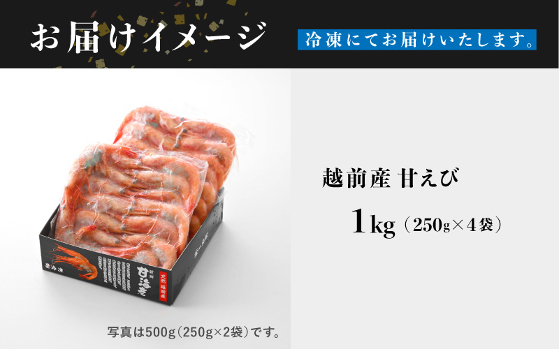 【小分け】越前産 冷凍 甘えび 約250g × 4パック 合計約1.0kg