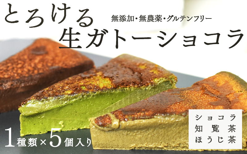 【選べる種類！】"とろける生ガトーショコラ" 5個入り 無添加・無農薬・グルテンフリー