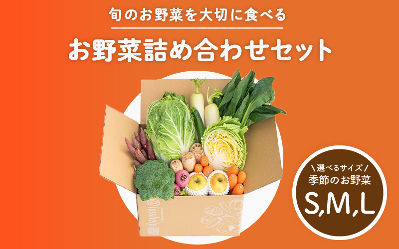 多数のメディアで紹介されました！【訳あり】旬のもったいないお野菜詰め合わせセット