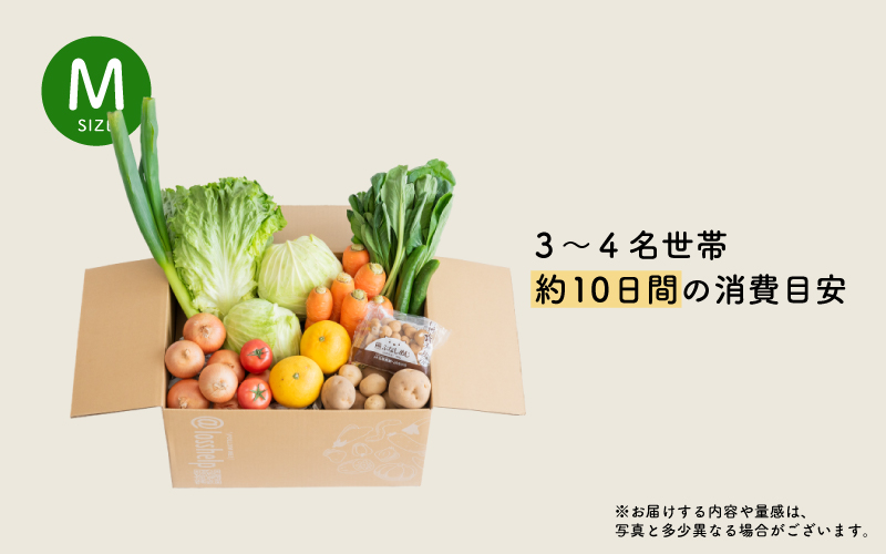 多数のメディアで紹介されました！【訳あり】旬のもったいないお野菜詰め合わせセット