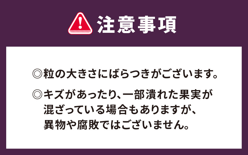 【先行予約】【7月中旬以降順次発送】＜選べる内容量＞【訳あり】令和8年産〈冷凍〉手摘み有機ブルーベリー（500g × 1～3パック）