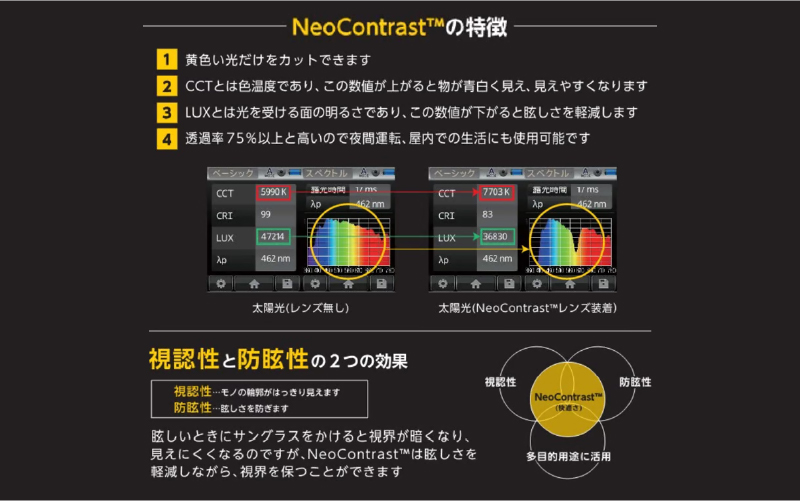 鯖江発！最高品質の偏光サングラス　556glass Tokiwa / 556glass Tokiwa.B