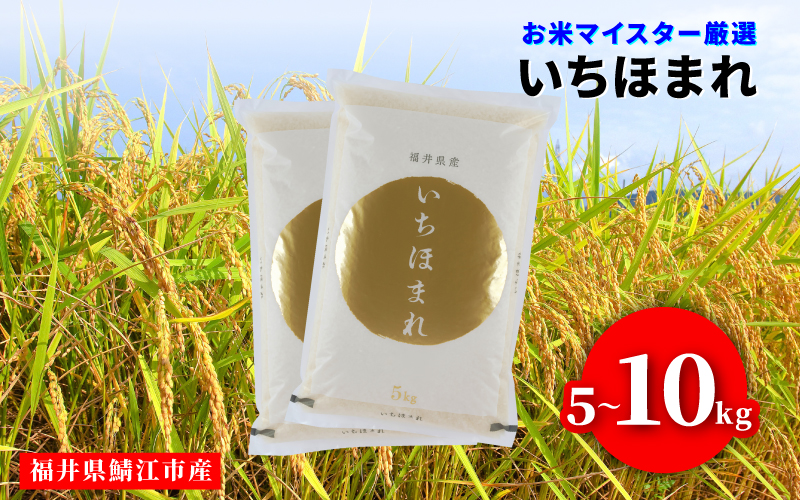 令和7年産 いちほまれ