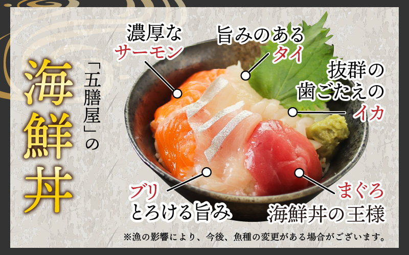 【刺身用】海鮮丼の具5種盛り（マグロ・サーモン・タイ・イカ・ブリ）60g（タレ付） × 5人前