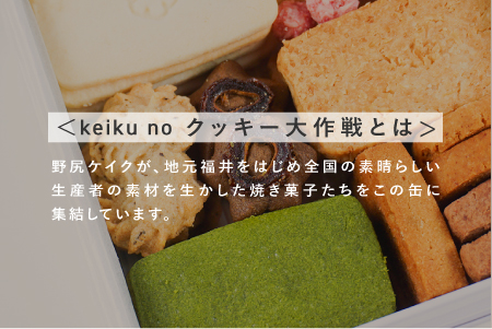 Keiku no クッキー大作戦--mini-- 【野尻ケイク】