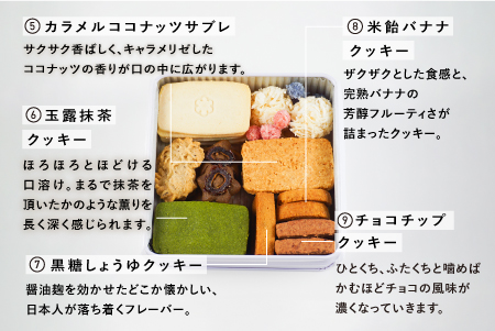 Keiku no クッキー大作戦--mini-- 【野尻ケイク】