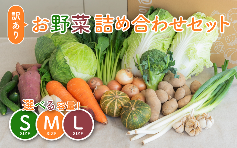 多数のメディアで紹介されました！【訳あり】旬のもったいないお野菜詰め合わせセット