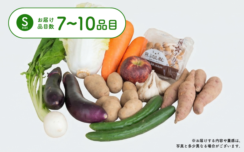 多数のメディアで紹介されました！【訳あり】旬のもったいないお野菜詰め合わせセット