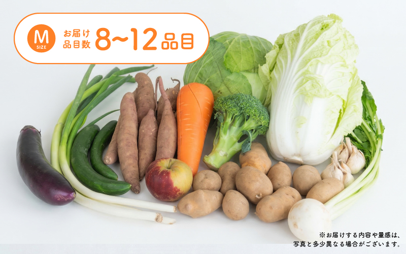 多数のメディアで紹介されました！【訳あり】旬のもったいないお野菜詰め合わせセット