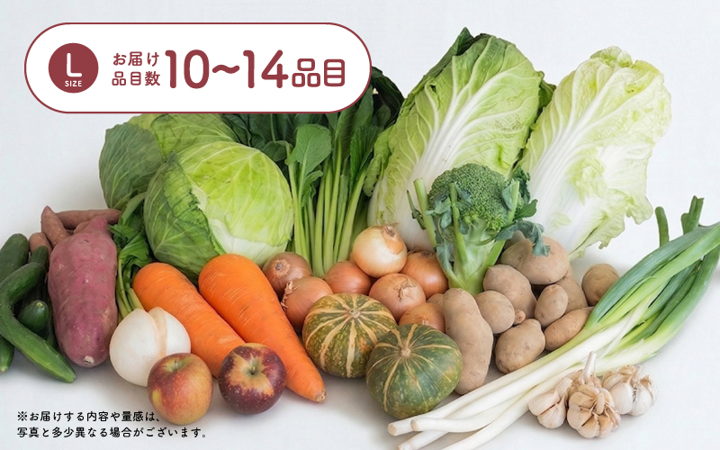 多数のメディアで紹介されました！【訳あり】旬のもったいないお野菜詰め合わせセット