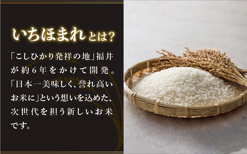【寄付額見直し】令和7年産 いちほまれ