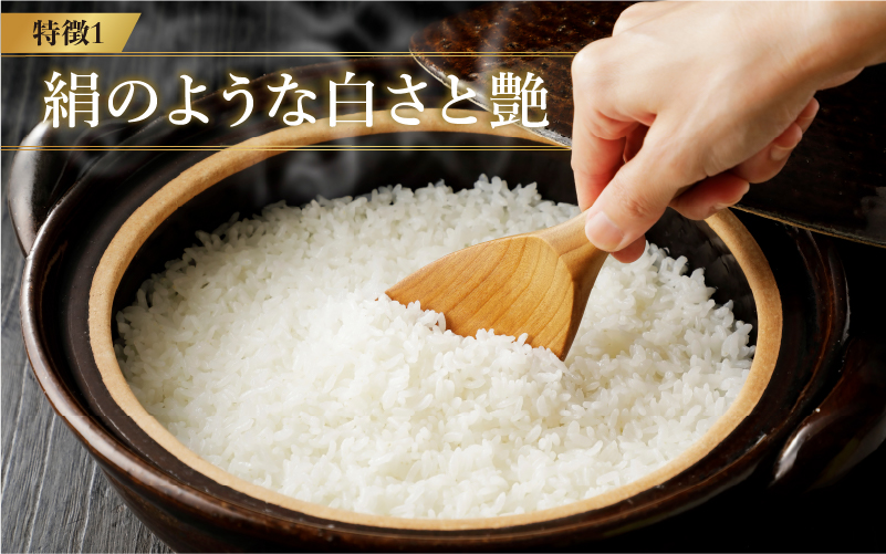【寄付額見直し】令和7年産 いちほまれ