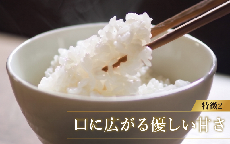 【寄付額見直し】令和7年産 いちほまれ