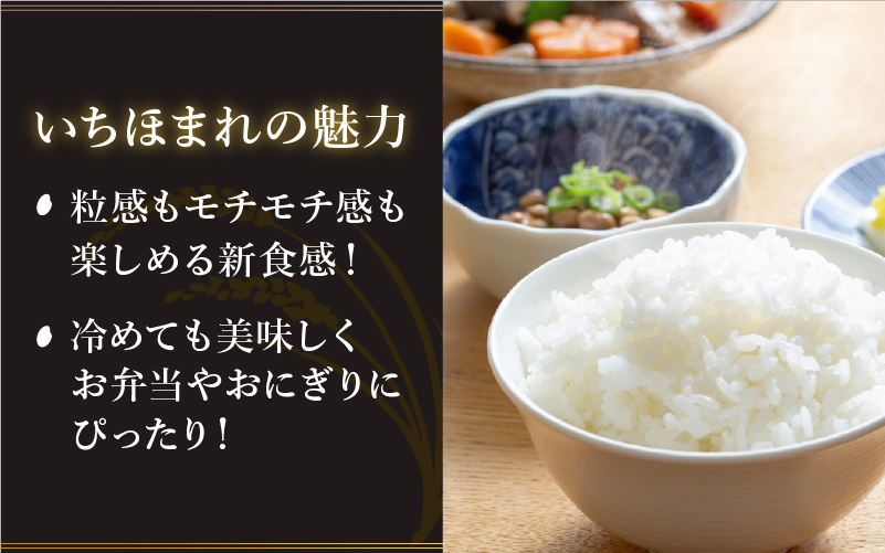 【寄付額見直し】令和7年産 いちほまれ
