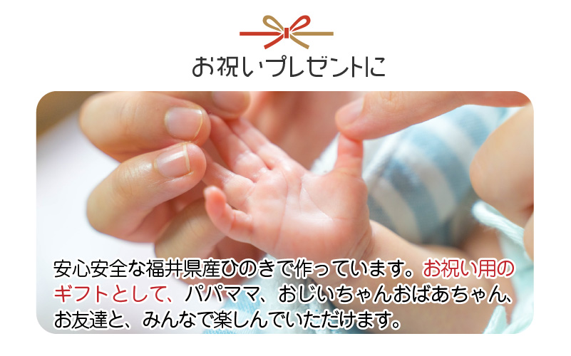 がおがお恐竜つみつみ ～ 全部で10頭！～ 福井県産ひのきの木のおもちゃ ～