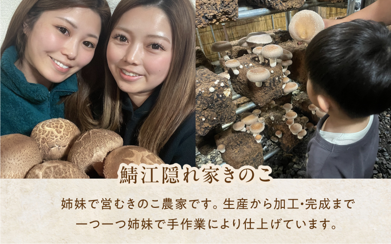鯖江隠れ家きのこの乾燥きのこ３種セット