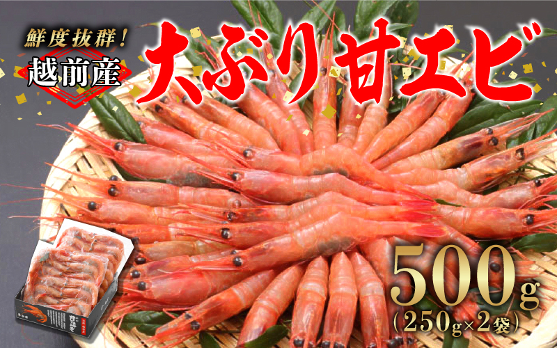 【小分け】越前産 冷凍 甘えび 大サイズ 約250g × 2パック 合計約500g