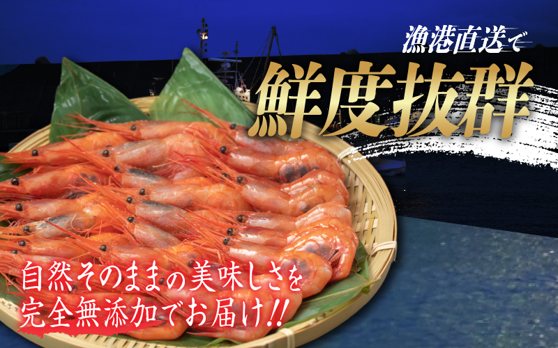 【小分け】越前産 冷凍 甘えび 大サイズ 約250g × 2パック 合計約500g