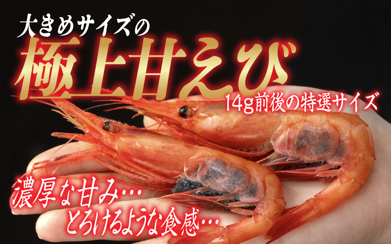 【小分け】越前産 冷凍 甘えび 大サイズ 約250g × 2パック 合計約500g