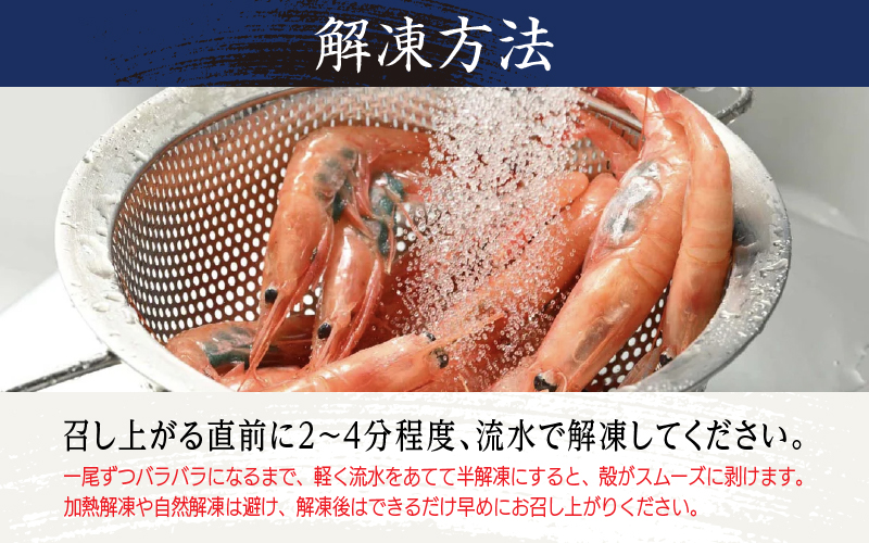 【小分け】越前産 冷凍 甘えび 大サイズ 約250g × 2パック 合計約500g