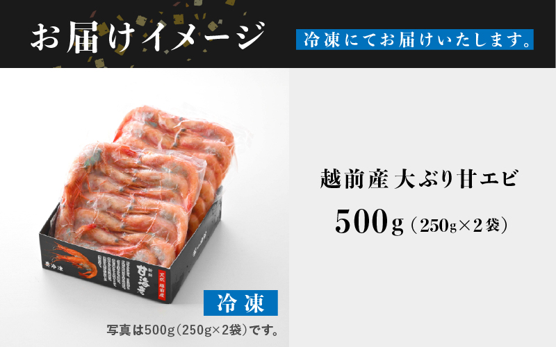 【小分け】越前産 冷凍 甘えび 大サイズ 約250g × 2パック 合計約500g