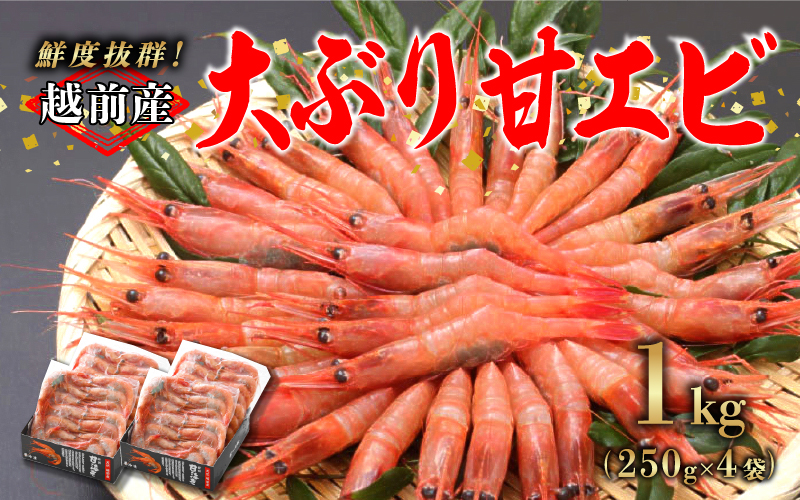 【小分け】越前産 冷凍 甘えび 大サイズ 約250g × 4パック 合計約1.0kg