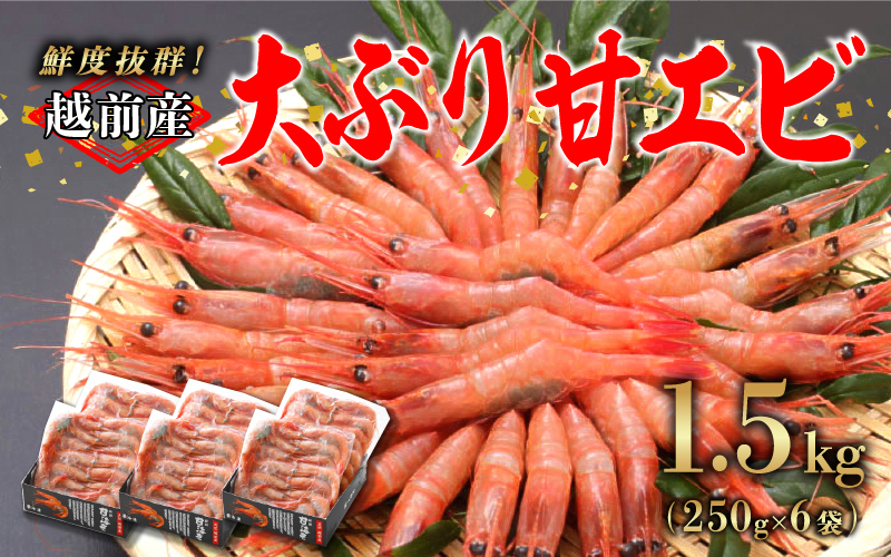 【小分け】越前産 冷凍 甘えび 大サイズ 約250g ×6パック 合計約1.5kg