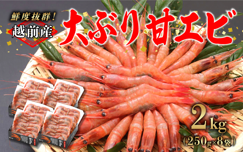 【小分け】越前産 冷凍 甘えび 大サイズ 約250g × 8パック 合計約2.0kg