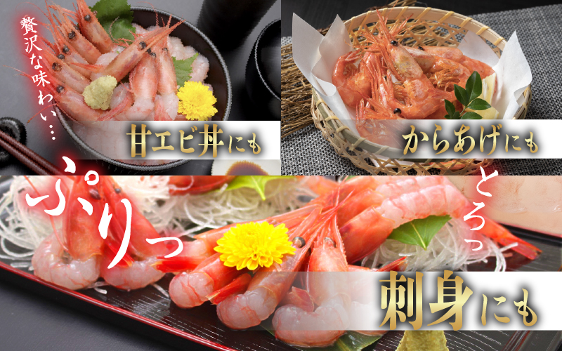 【小分け】越前産 冷凍 甘えび 大サイズ 約250g × 2パック 合計約500g