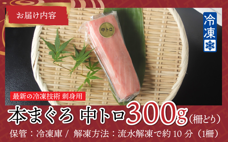 【刺身用】本マグロ 中トロ 300g（柵どり）【最新の冷凍技術】