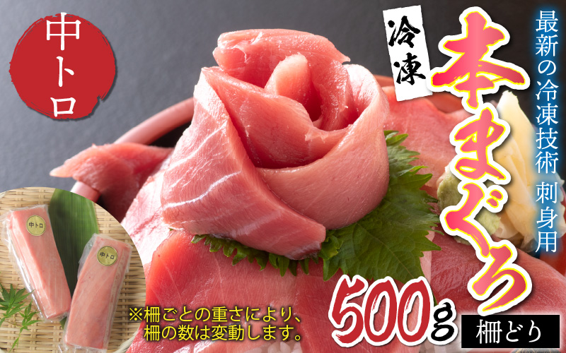 【刺身用】本マグロ 中トロ 500g(柵どり)【最新の冷凍技術】