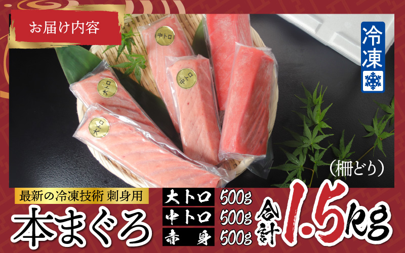 【刺身用】本マグロセット（大トロ 500g + 中トロ 500g + 赤身 500g）計1.5kg【最新の冷凍技術】