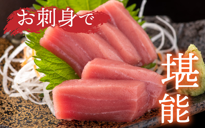 【定期便】【3ヶ月連続お届け】 最新の冷凍技術 刺身用！本マグロ 中トロ（柵どり） 1kg × 3回