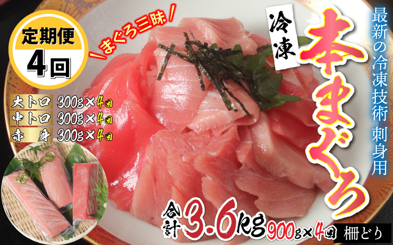 【定期便】【4ヶ月連続お届け】 刺身用!本マグロ堪能セット(柵どり) 計900g × 4回【最新の冷凍技術】