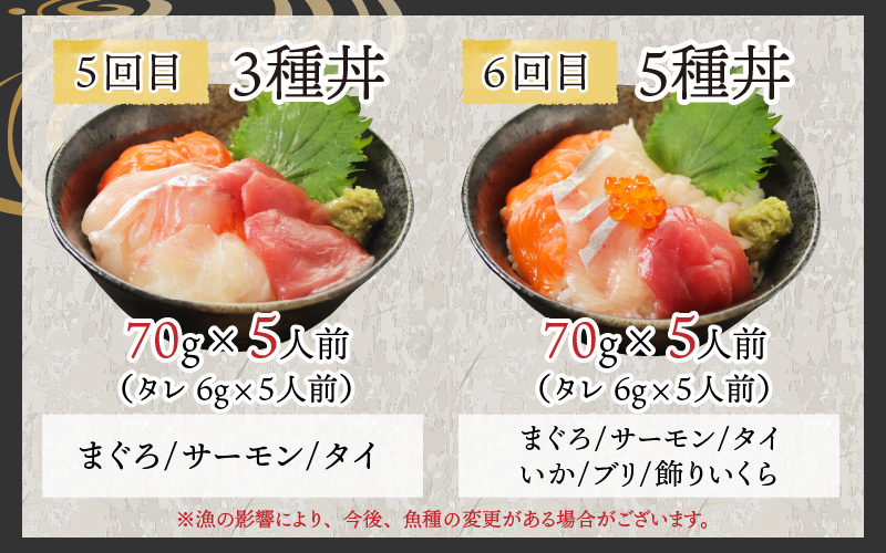 【定期便】【6ヶ月連続お届け】 【刺身用】おまかせ海鮮丼の具 60g（タレ付）× 5人前 × 6回【最新の冷凍技術】