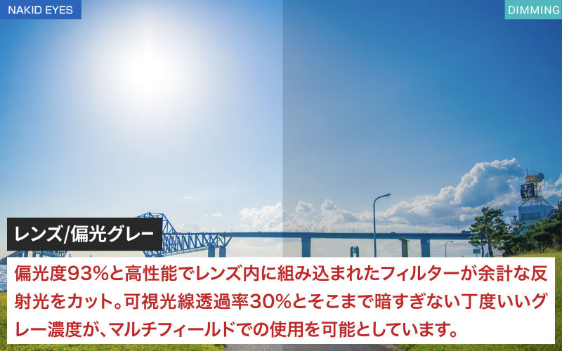 鼻パッドのないサングラス「エアフライ」 AF-302 WP （偏光レンズ装着版）AF-302 C-1WP クリアーグレー