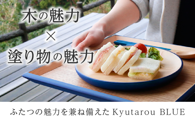 Kyutarou BLUE  両面丸皿 スタンダード(濃い青色)