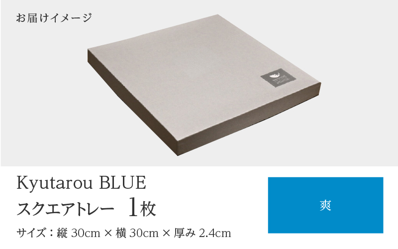 Kyutarou BLUE  両面丸皿 爽(薄い青色)