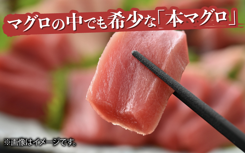 本マグロ・バチマグロ・ビントロ（各200g×3種）計600gの3種セット！
