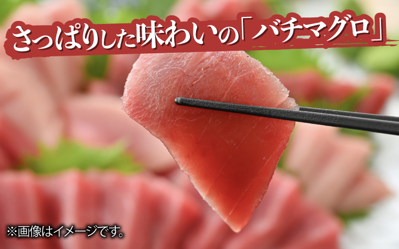 本マグロ・バチマグロ・ビントロ（各200g×3種）計600gの3種セット！