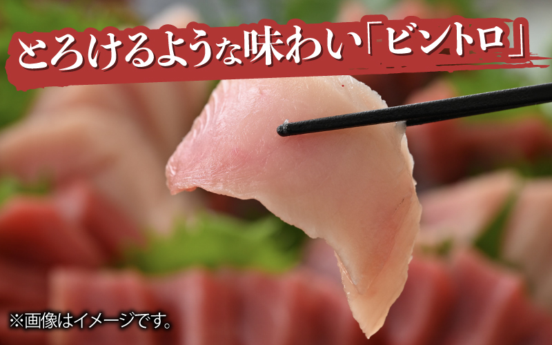 本マグロ・バチマグロ・ビントロ（各200g×3種）計600gの3種セット！
