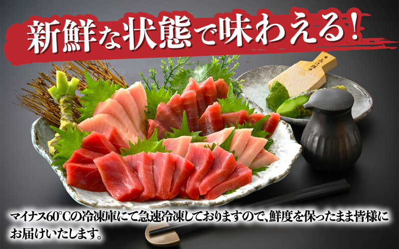 本マグロ・バチマグロ・ビントロ（各200g×3種）計600gの3種セット！