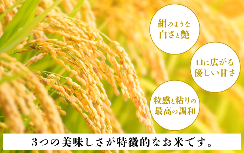 いちほまれ パックご飯 18食