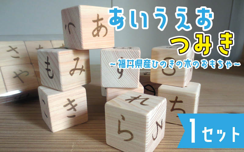 あいうえおつみき~福井県産ひのきの木のおもちゃ~