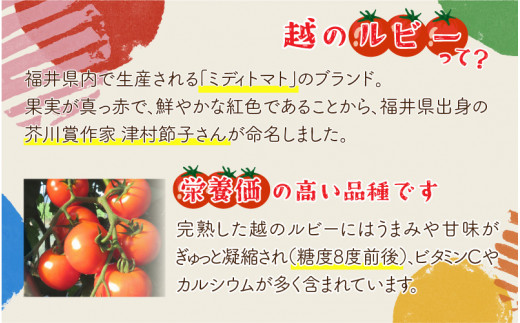 鯖江市産 原木乾燥椎茸「越のてまり」& 越のルビーのトマトカレーセット