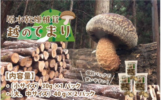 鯖江市産 原木乾燥椎茸「越のてまり」& 越のルビーのトマトカレーセット