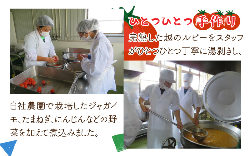 絶品！野菜のコクとうまみ 越のルビー トマト カレー 210g（袋入り）×5袋