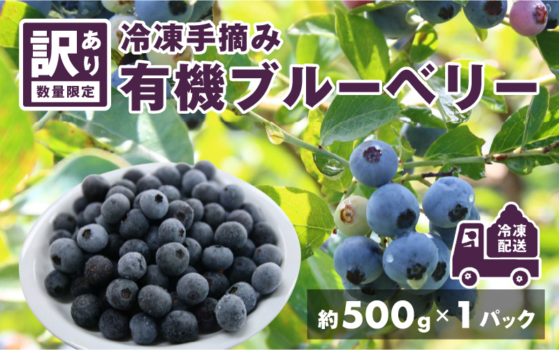 【訳あり】令和7年産〈冷凍〉手摘み有機ブルーベリー500g(500g × 1パック)