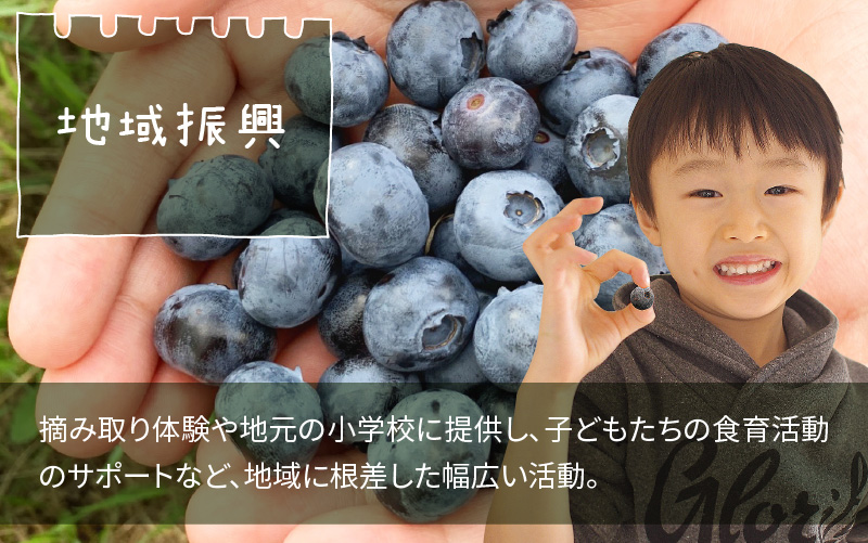 【訳あり】令和7年産〈冷凍〉手摘み有機ブルーベリー500g（500g × 1パック）